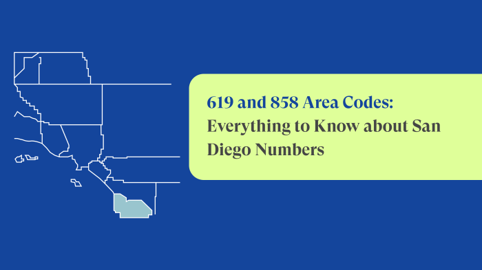 California npi number area code 858