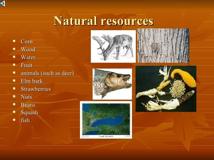 Natural resources of the iroquois