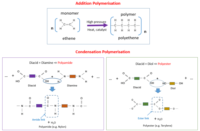 Polymers and reactions worksheet answers